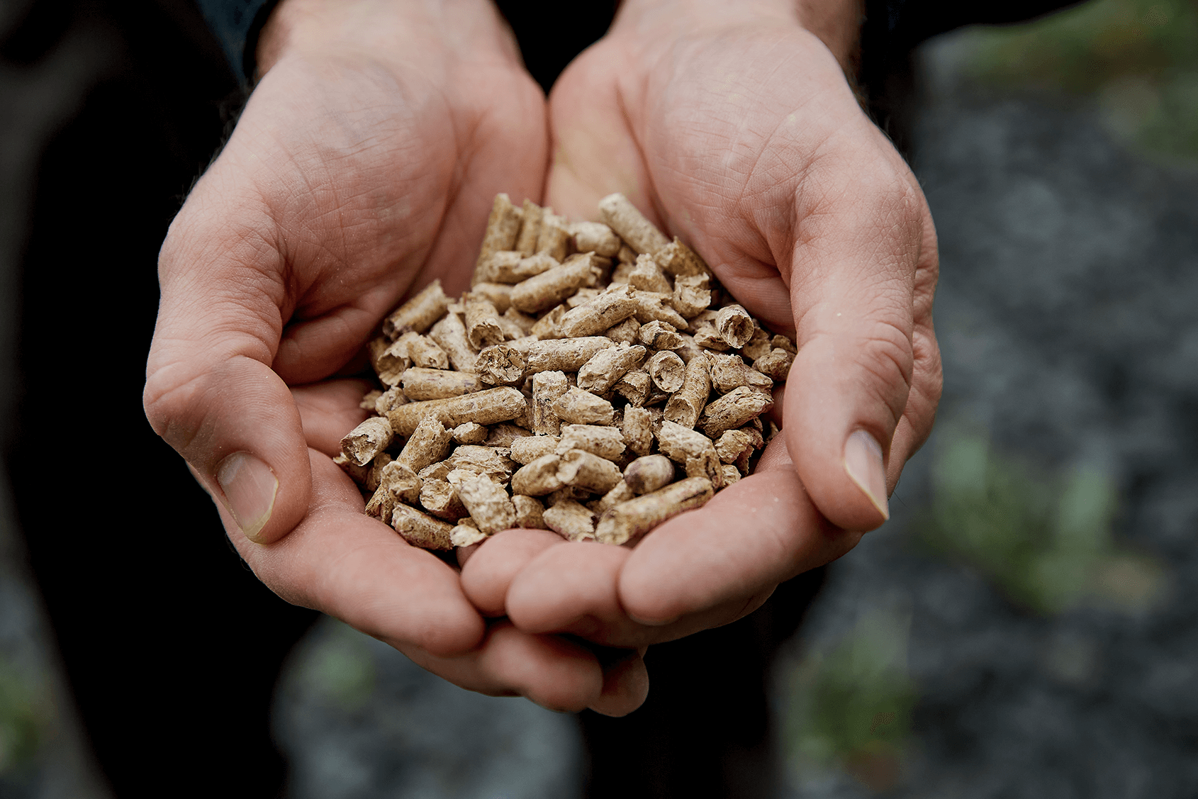 Les granules de biomasse forestière remplacent peu à peu le mazout dans les grands bâtiments du Bas-Saint-Laurent. Photo: Alma Kismic