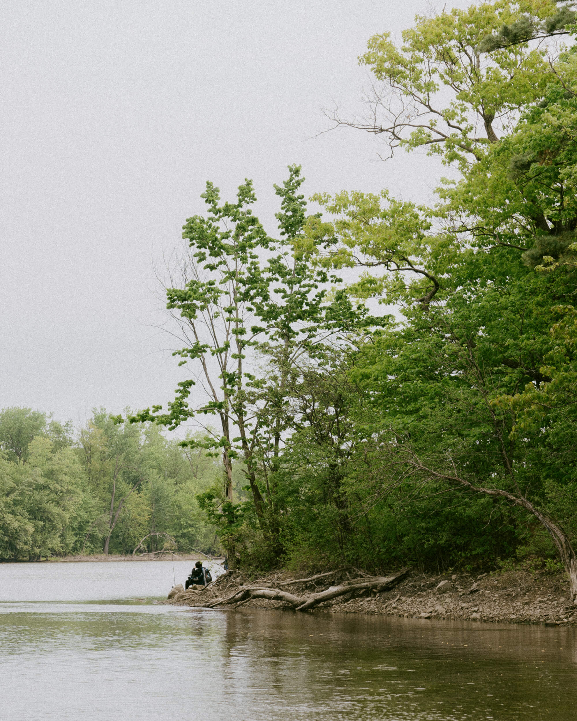 Le parc de la Rivière-des-Mille-Îles.
