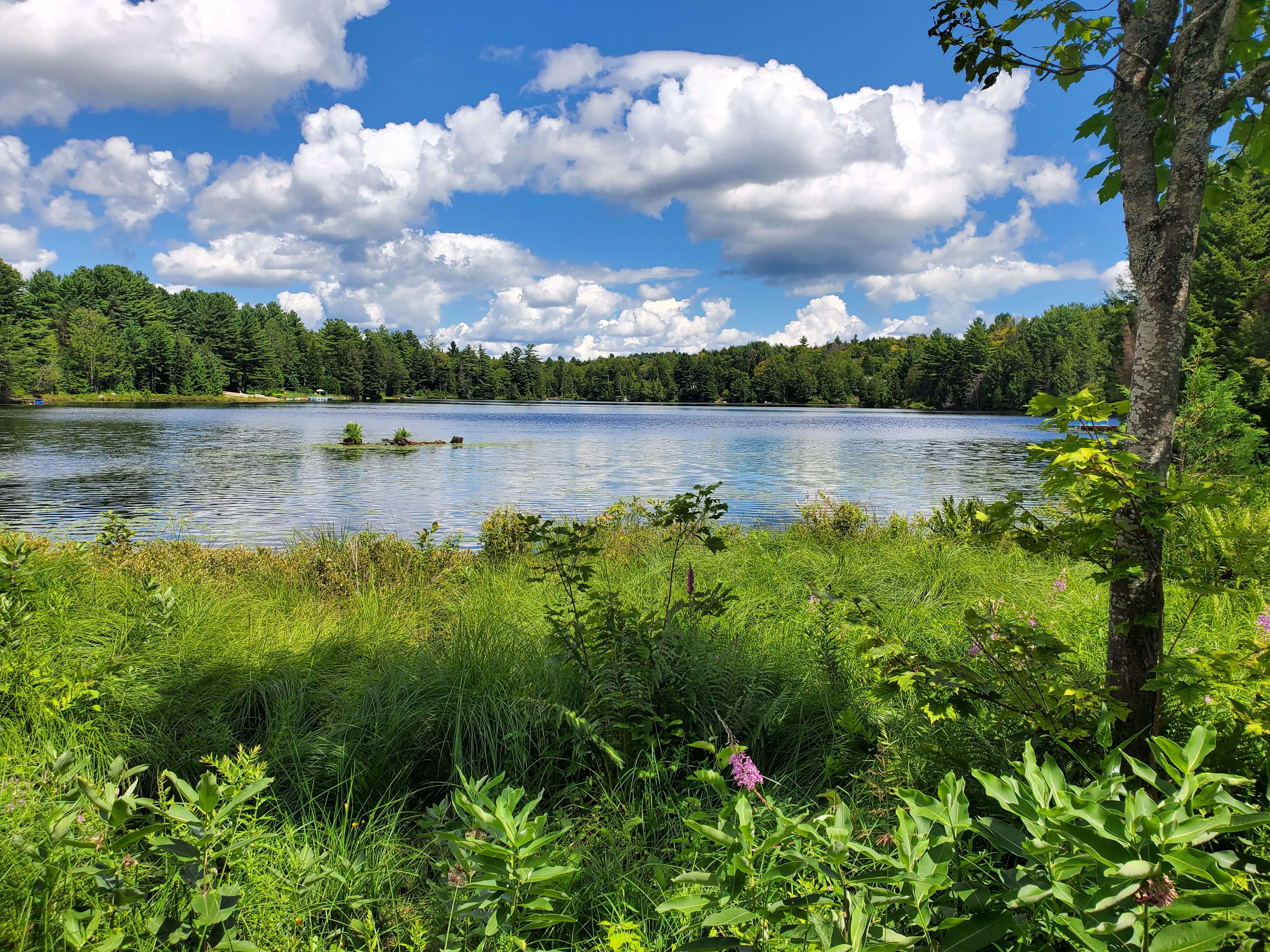 Lac des Pins, à Rawdon